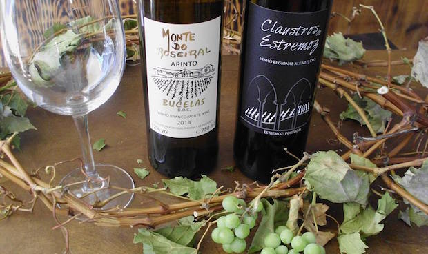 Arts and Wine - Terra Ignis